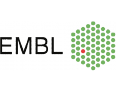 EMBL